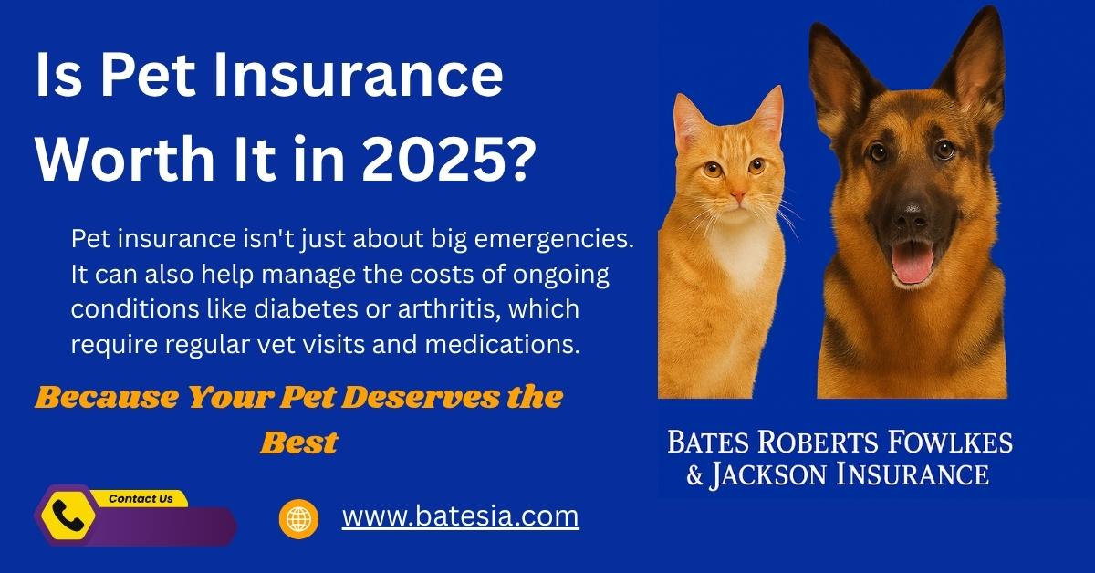Is Pet Insurance Worth It in 2025?
